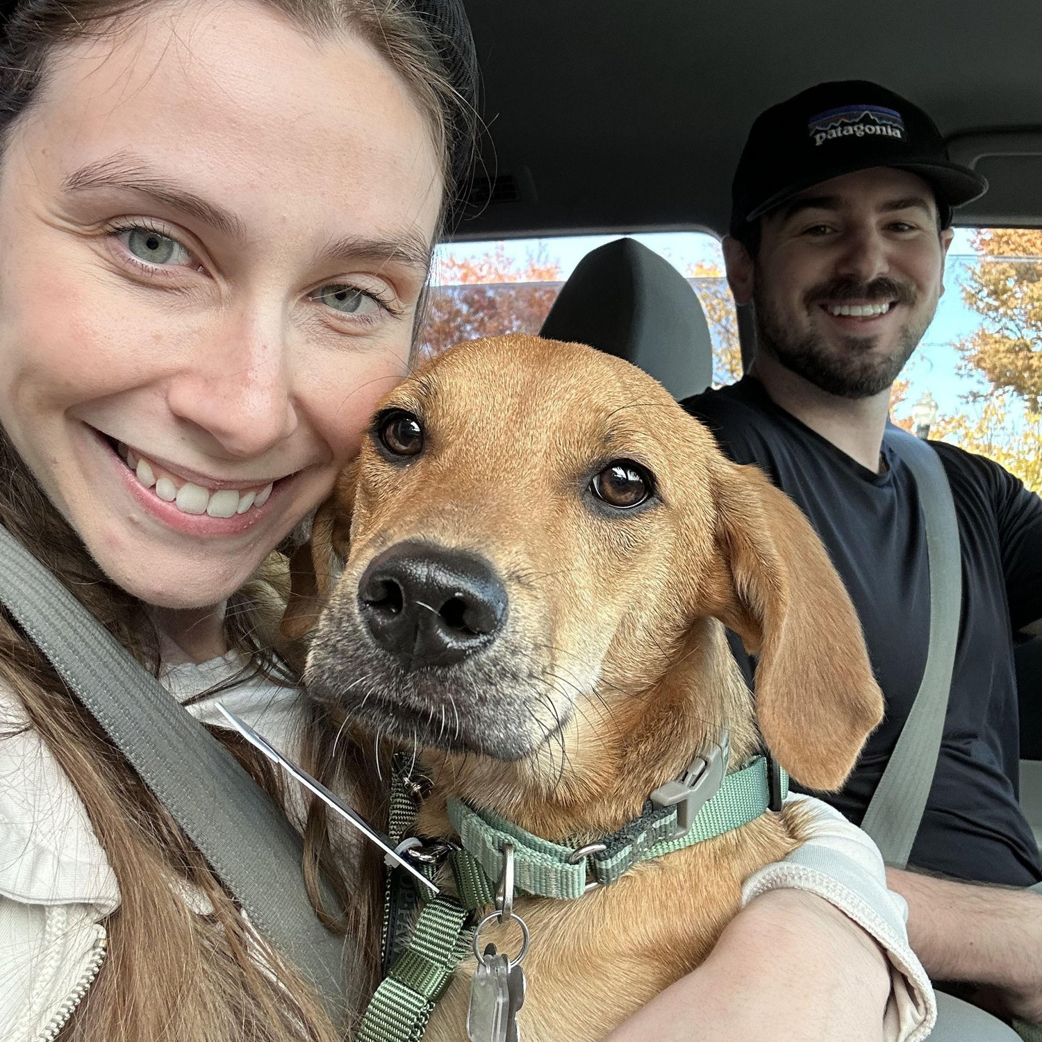 the day we adopted Remi!