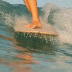 Surf