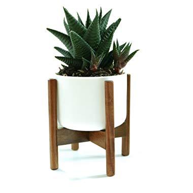 Fox & Fern Modern Mini Plant Stand - Acacia - Including 3.5" White Ceramic Planter Pot