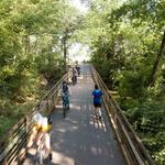 Swamp Rabbit Trail