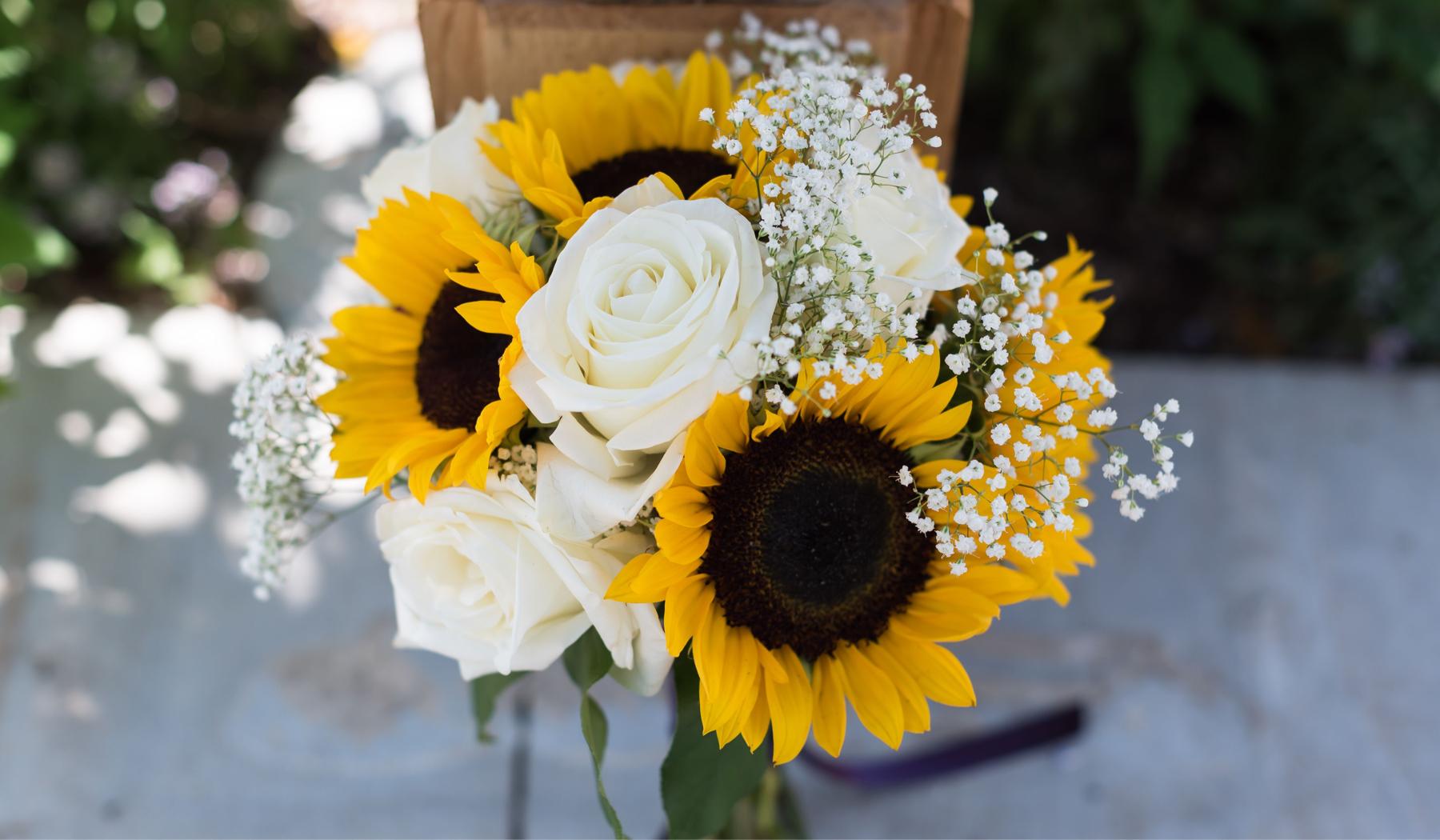 The Wedding Website of Naomi Niño and Emmitt Jimenéz-Herrera