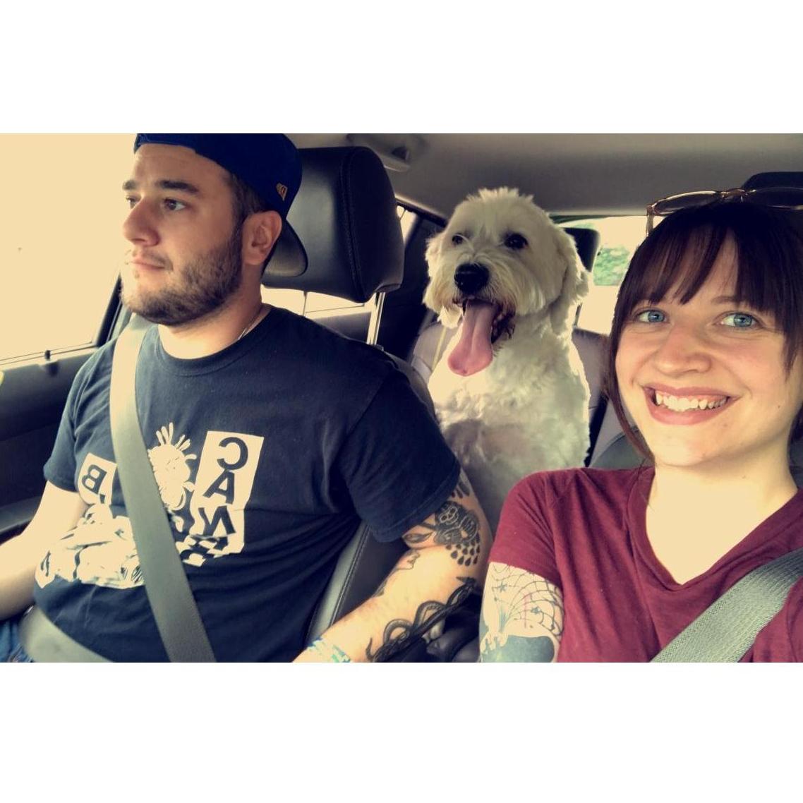 Josh had just moved in and we were transitioning all the dogs into their new home life. This is the day Annabelle moved in!