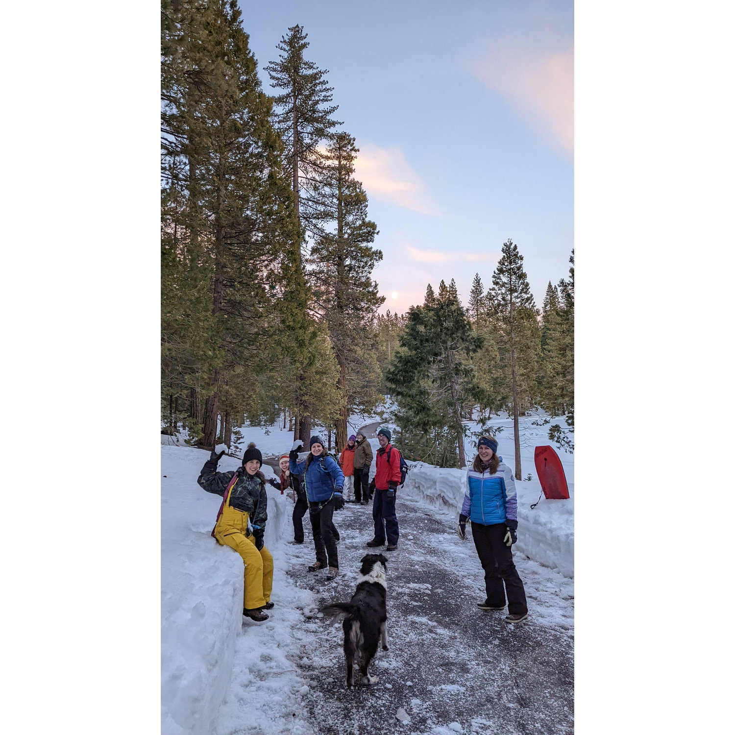 snowball fight!