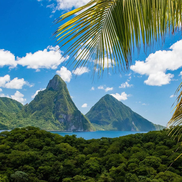 Honeymoon Fund to St. Lucia 🌴