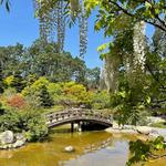 Hakone Estate and Gardens