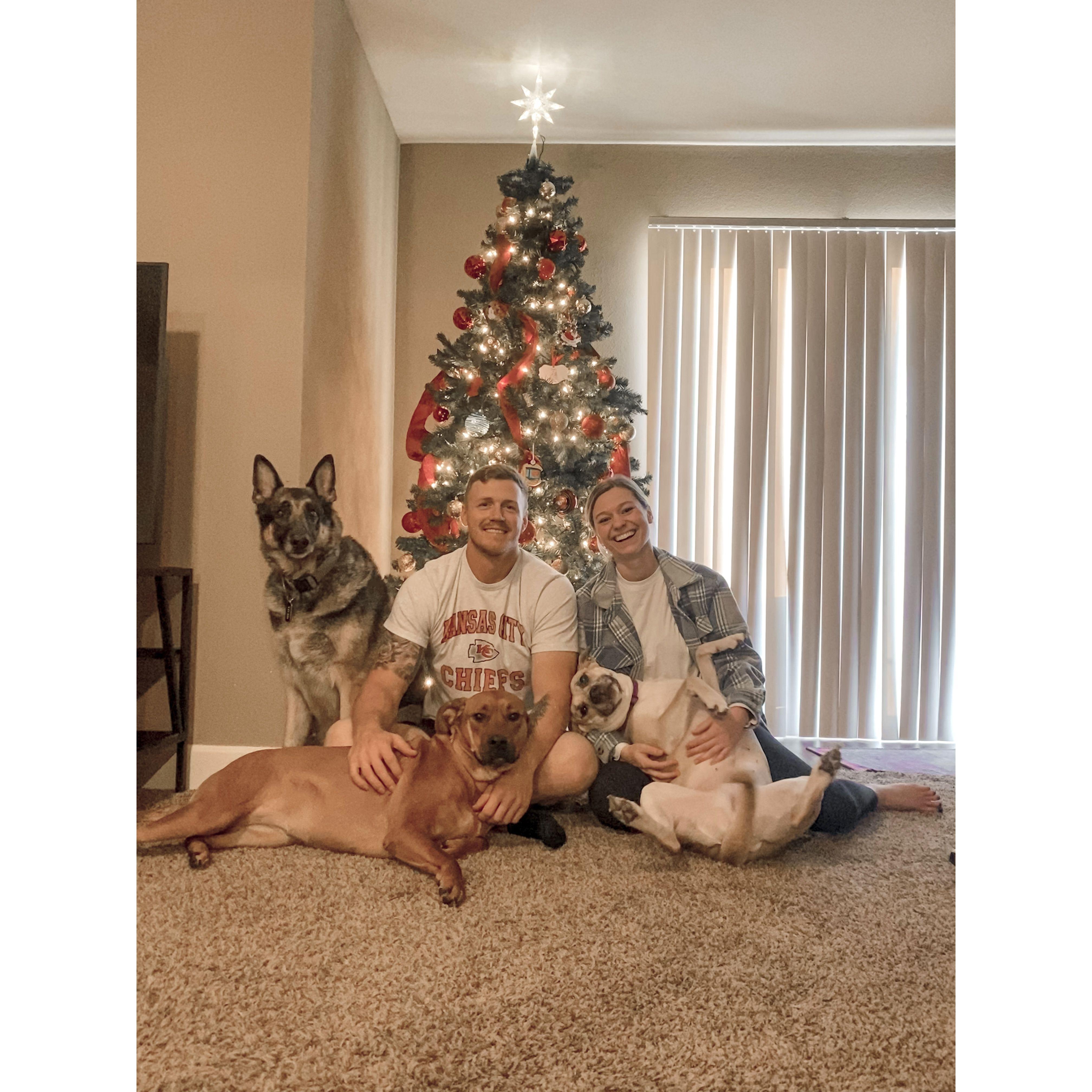 Our first successful Christmas family photo with the dogs