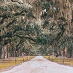 Boone Hall Plantation & Gardens