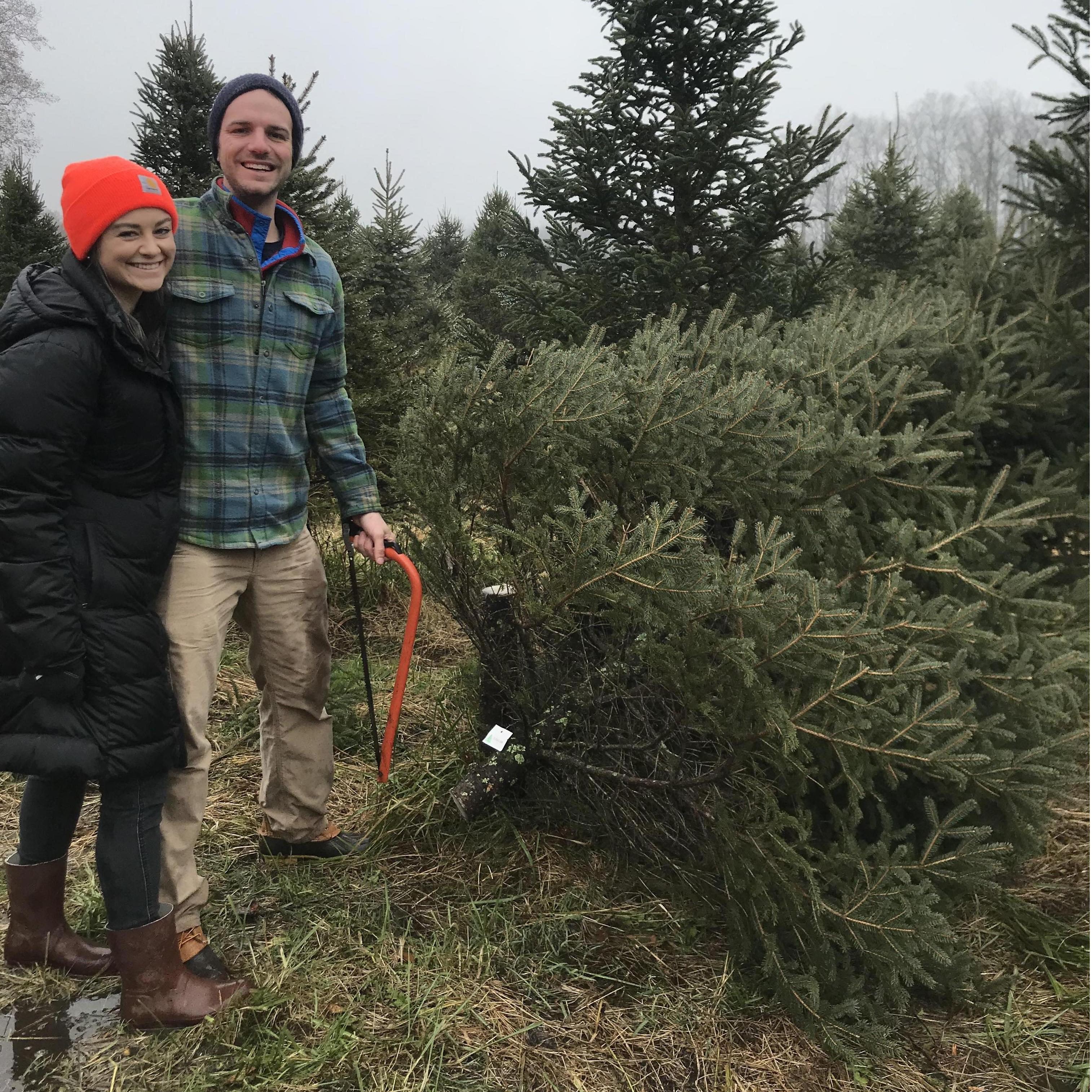 Maple Row Farm
2018