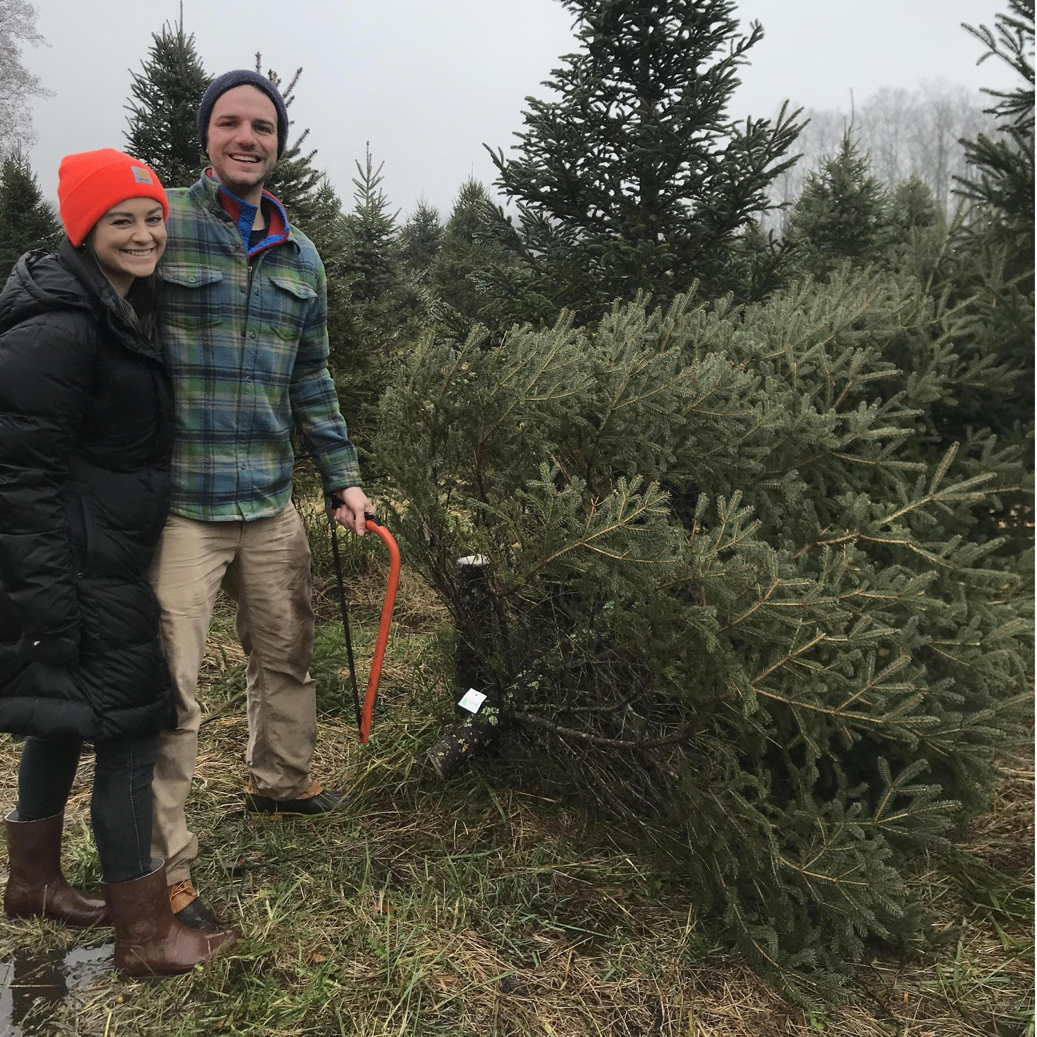 Maple Row Farm
2018