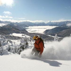 Shred the Slopes