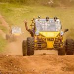 Raro Buggy Tours