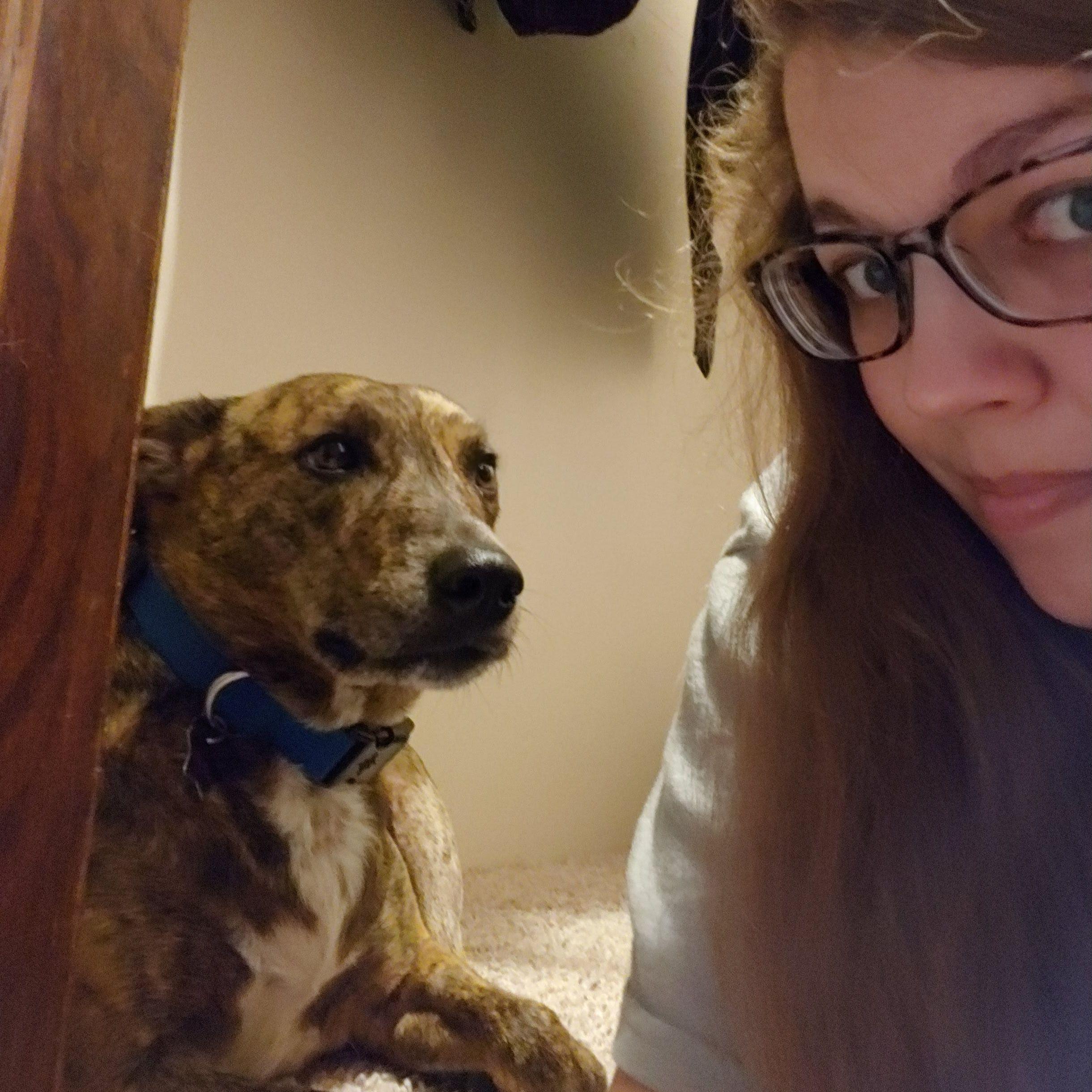 Tippy in the closet 2020