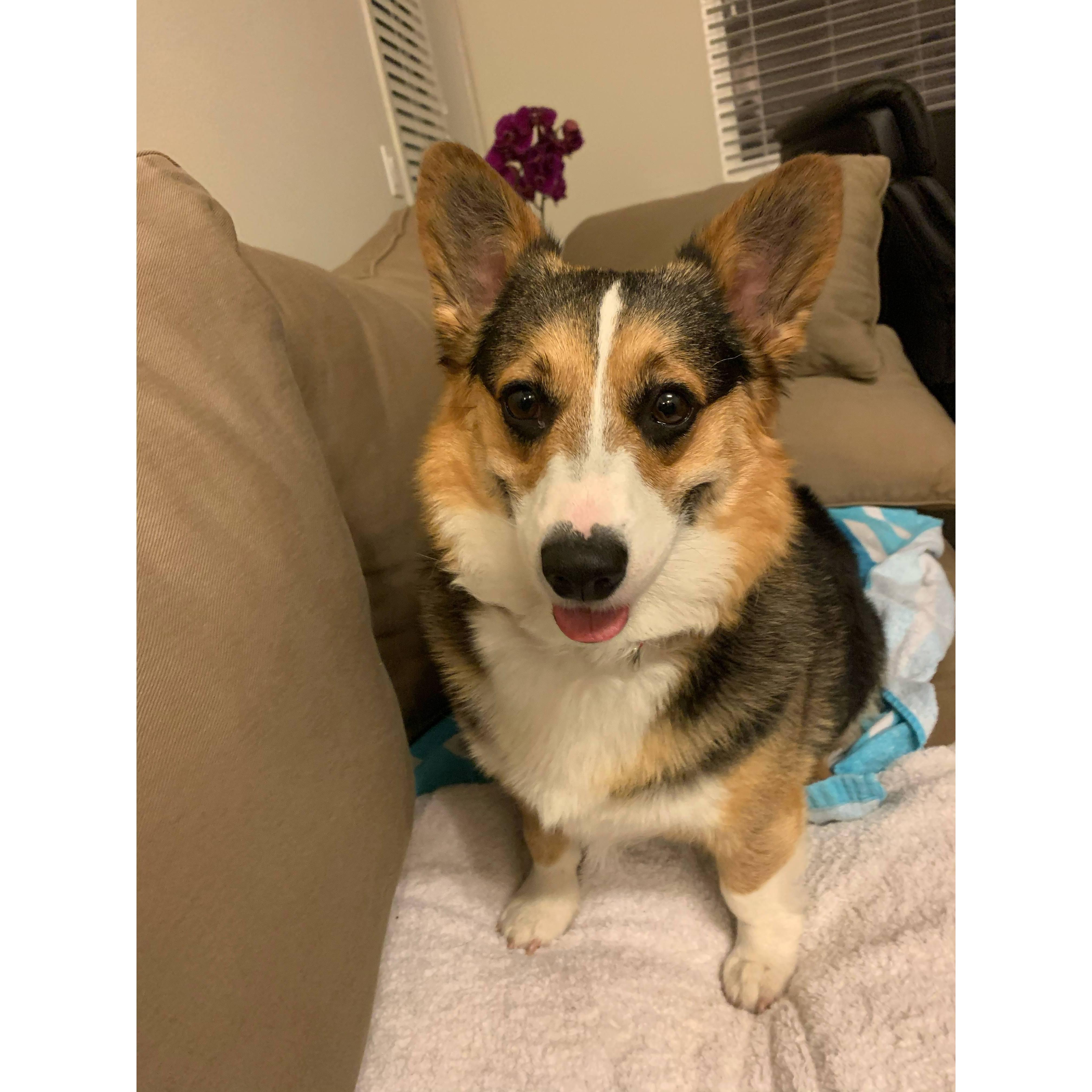 Lucy