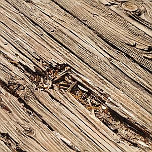 Our Deck Renovation Fund