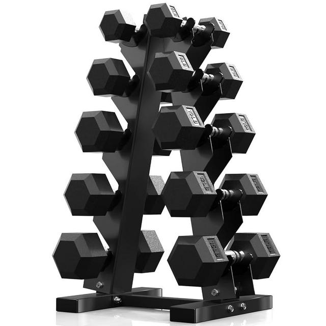 PAPABABE Dumbbell Set, Weights Dumbbells Set With Rack Free Weights Dumbbells Set Home Weight Set