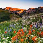 Albion Basin