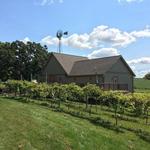 Salem Glen Vineyard