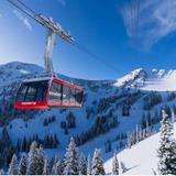 Snowbird Winter Scenic Tram Rides
