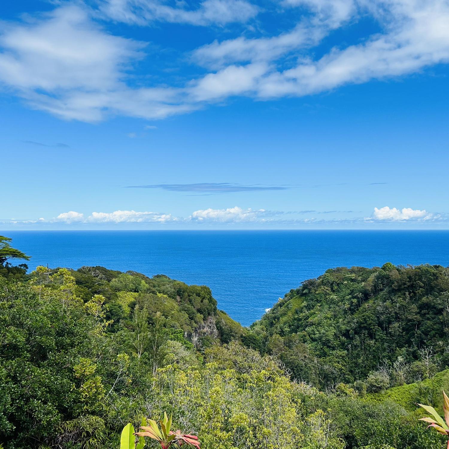 Road to Hana Garden of Eden