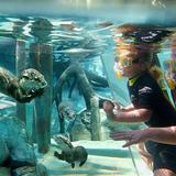Discovery Cove