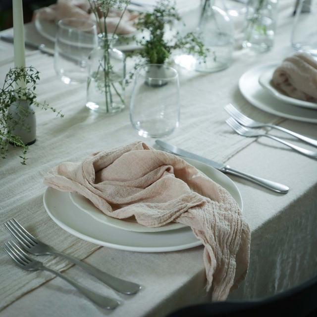 Silk and Willow, Blush Napkins Set of 8