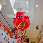 Jelly Belly Tours