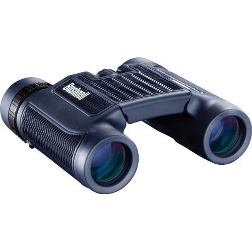 Bushnell H2O Waterproof Compact Roof Prism Binocular, 10 x 25-mm