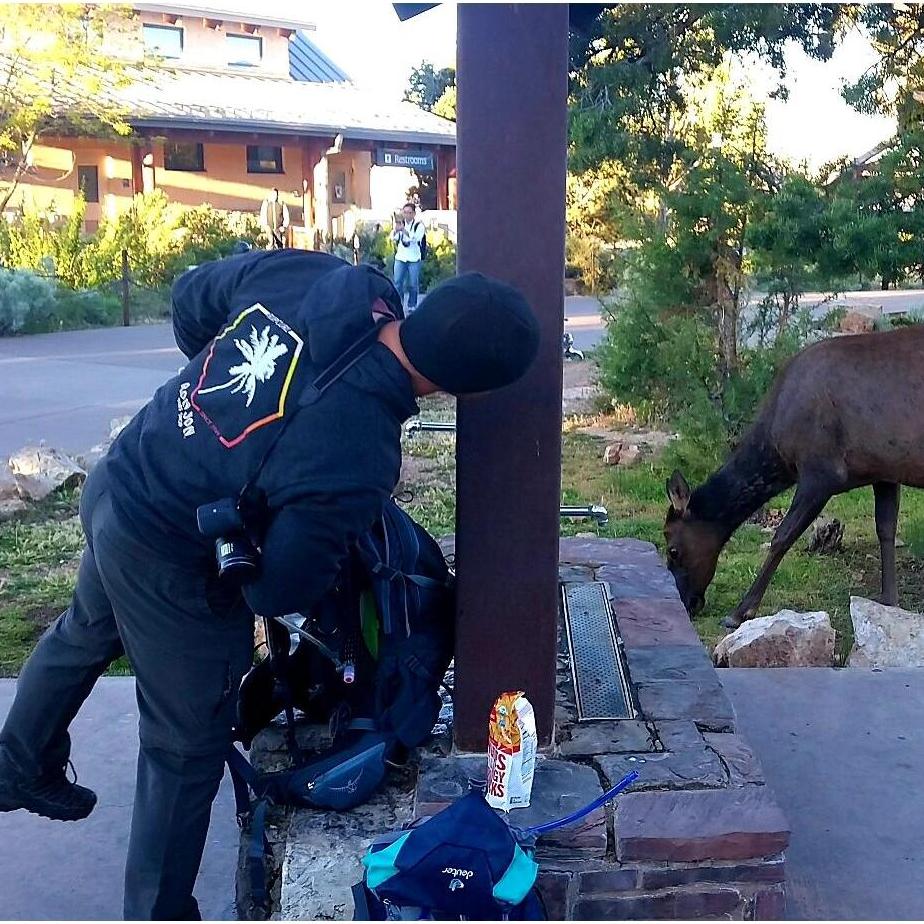Josh makes a friend at the Grand Canyon