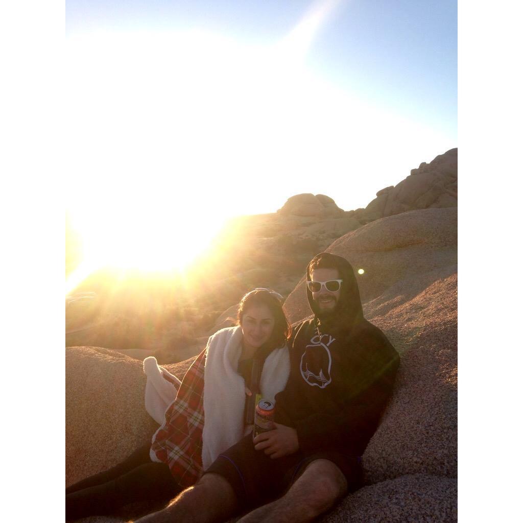 Joshua tree