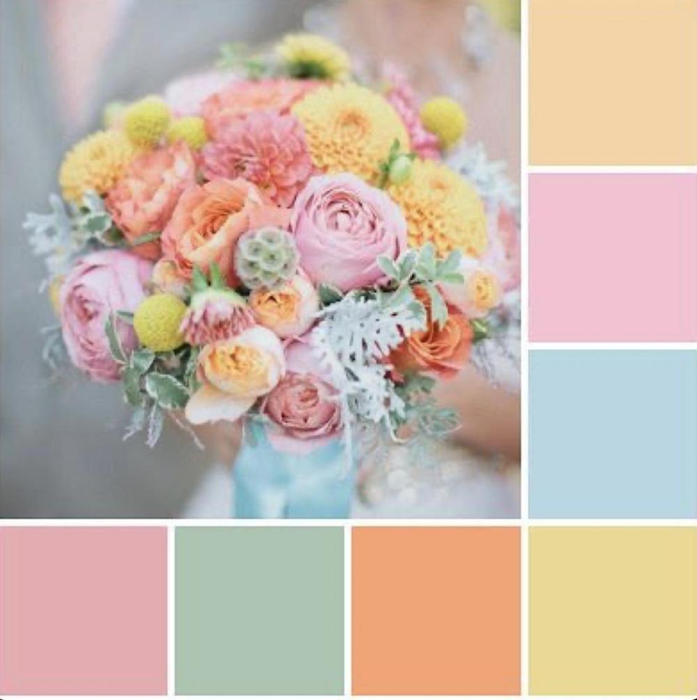 The Wedding Website of Kenleigh Anderson and Sloan Anderson