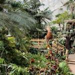 Foellinger-Friemann Botanical Conservatory