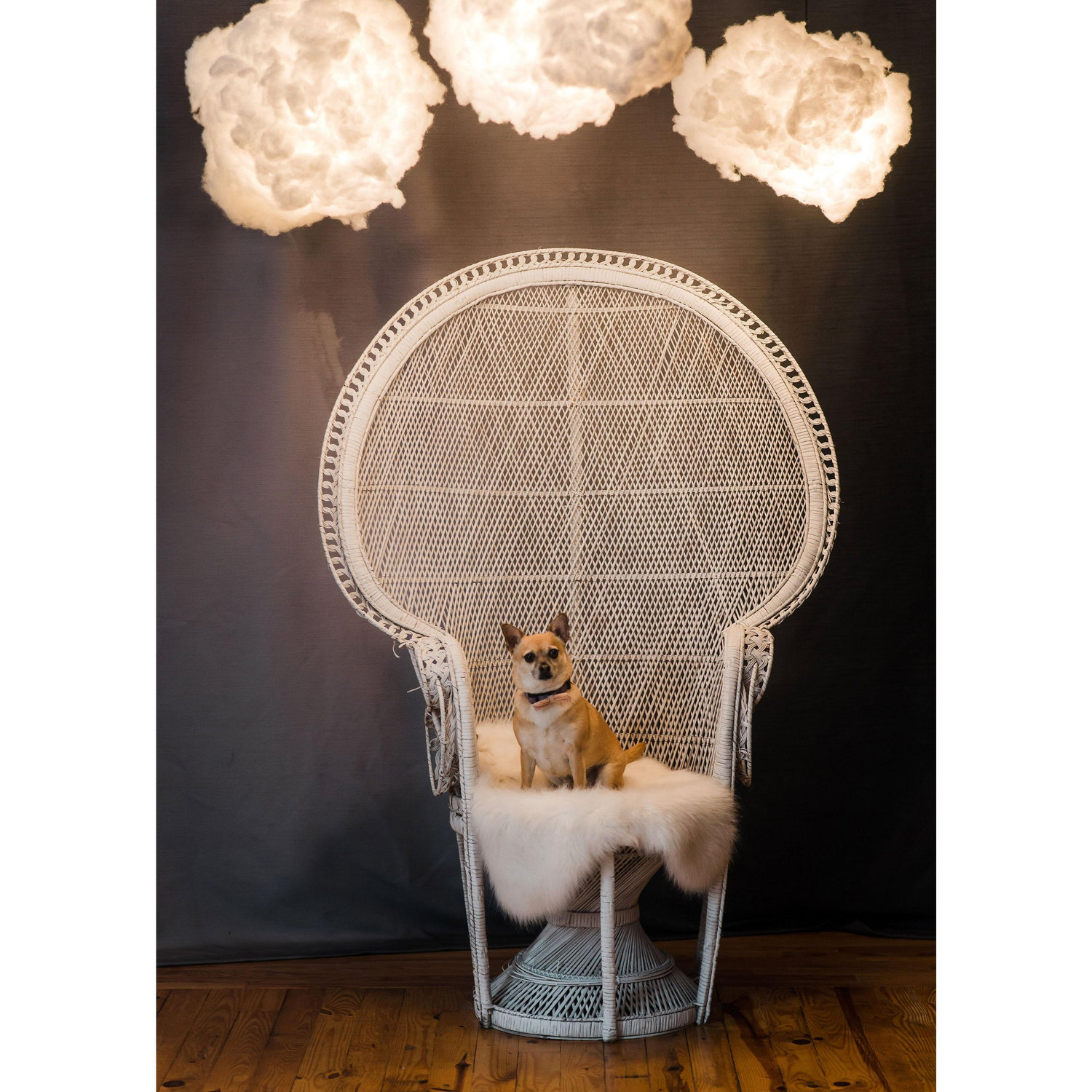 Our heads are always in the clouds, and Lyla gets us. She's our little angel.