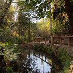 Fern Dell Nature Trail