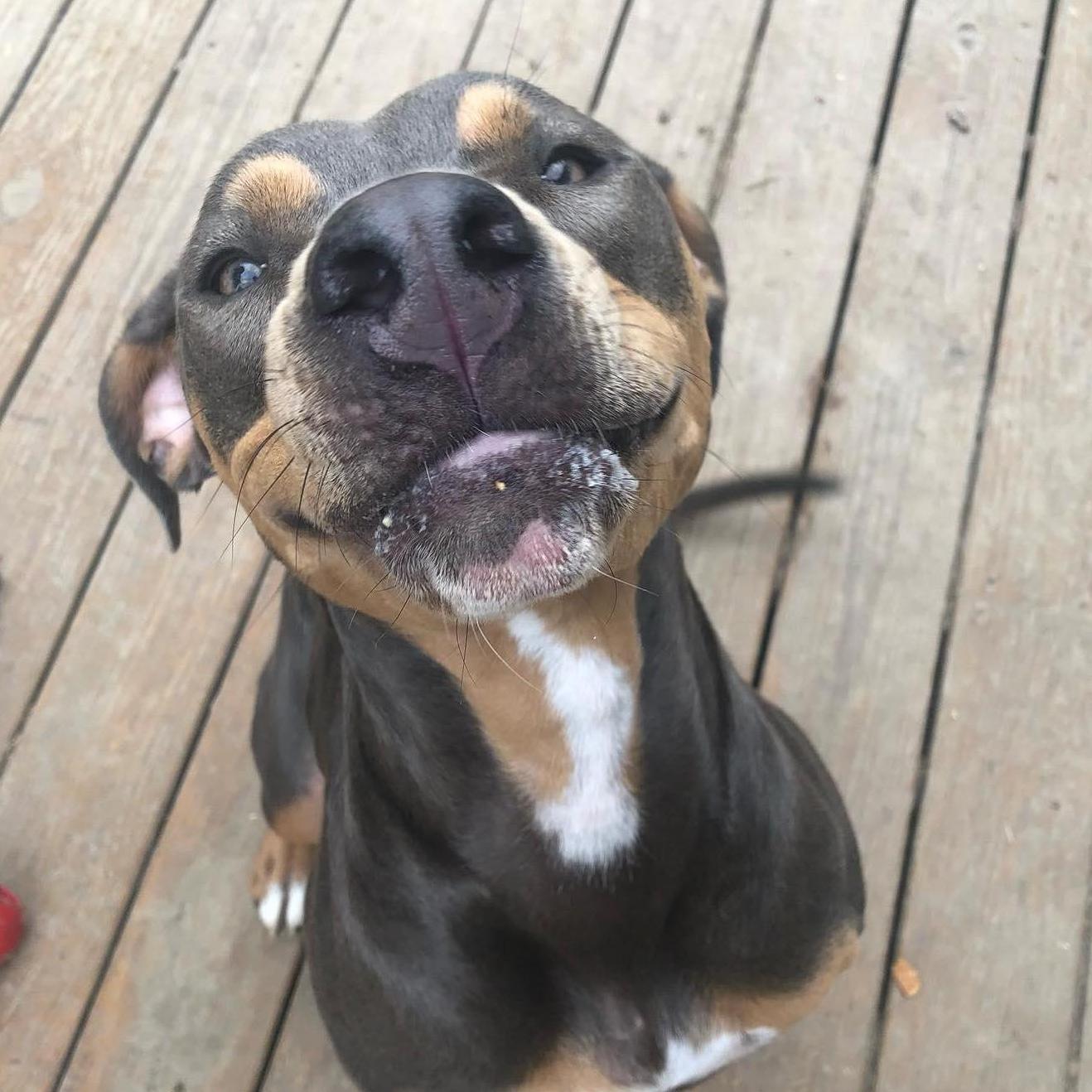 July 2022 - Our girl