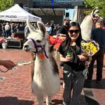 Boise Farmers Market