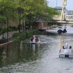 Wheel Fun Rentals | Canal Walk
