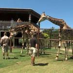 Tulsa Zoo