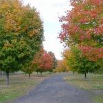 Northwest Park