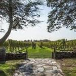 Newport Vineyards