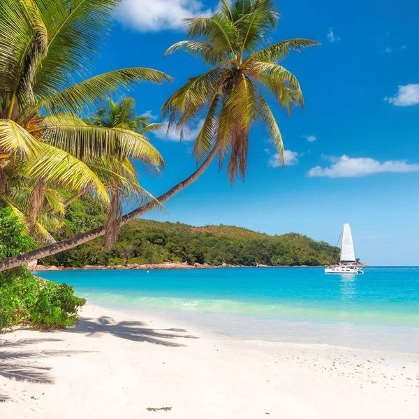 Round Trip Plane Tickets