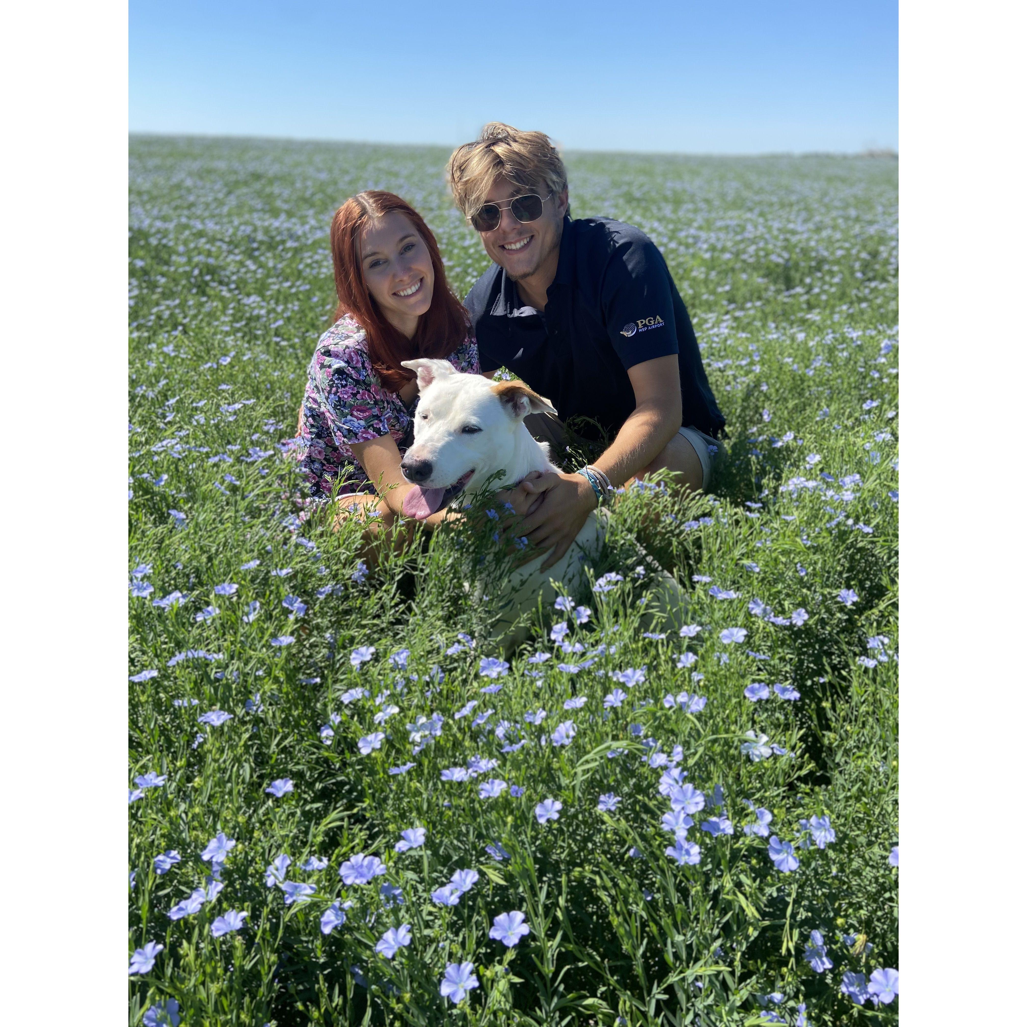 Family photos in the flax fiels, ND
July 29, 2022