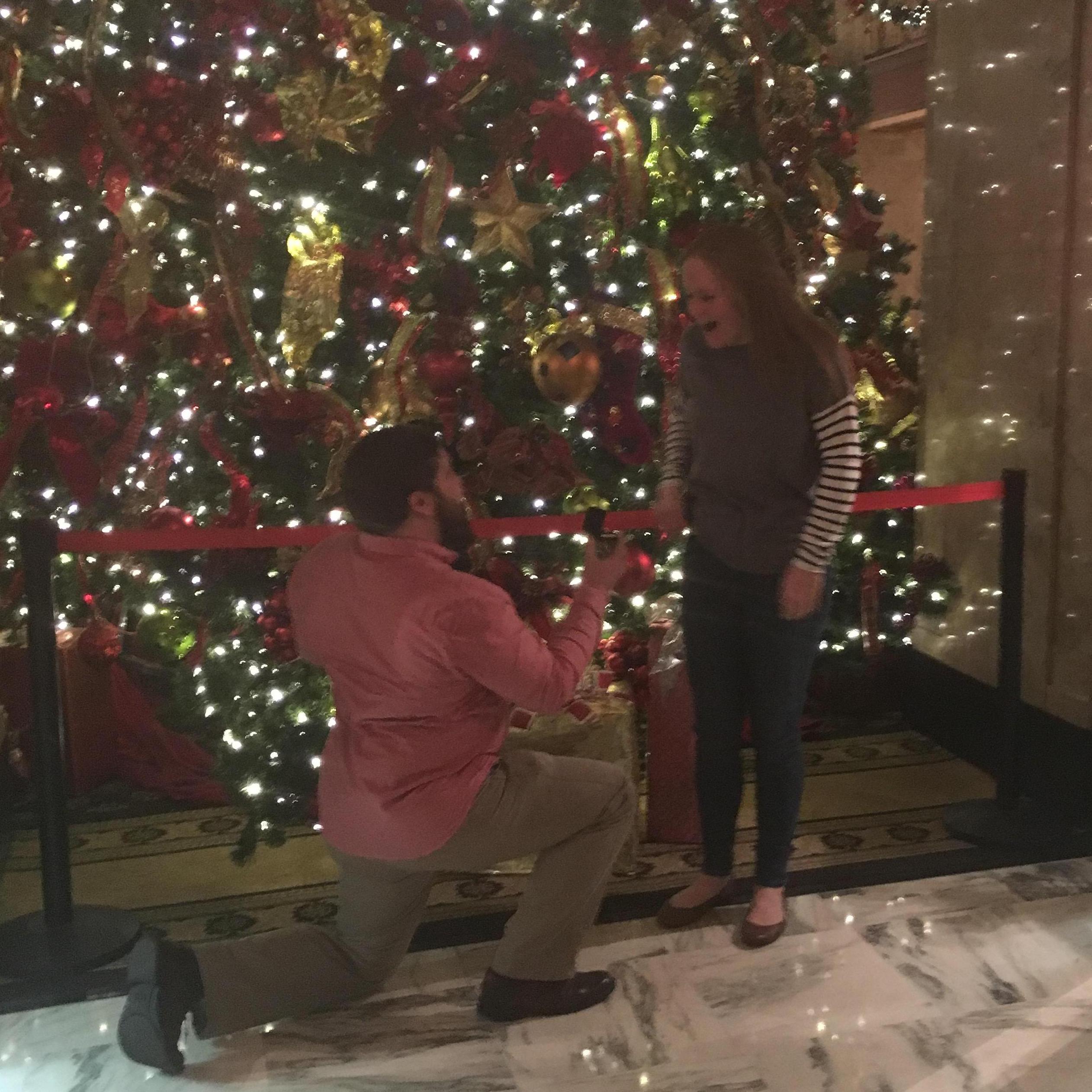Proposal