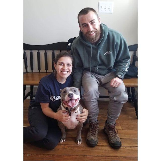 The day we adopted Harriet - 1/5/2020