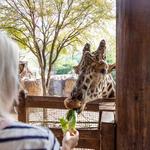 Dallas Zoo
