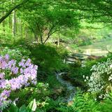 South Carolina Botanical Garden