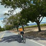 Napa | Other Activities