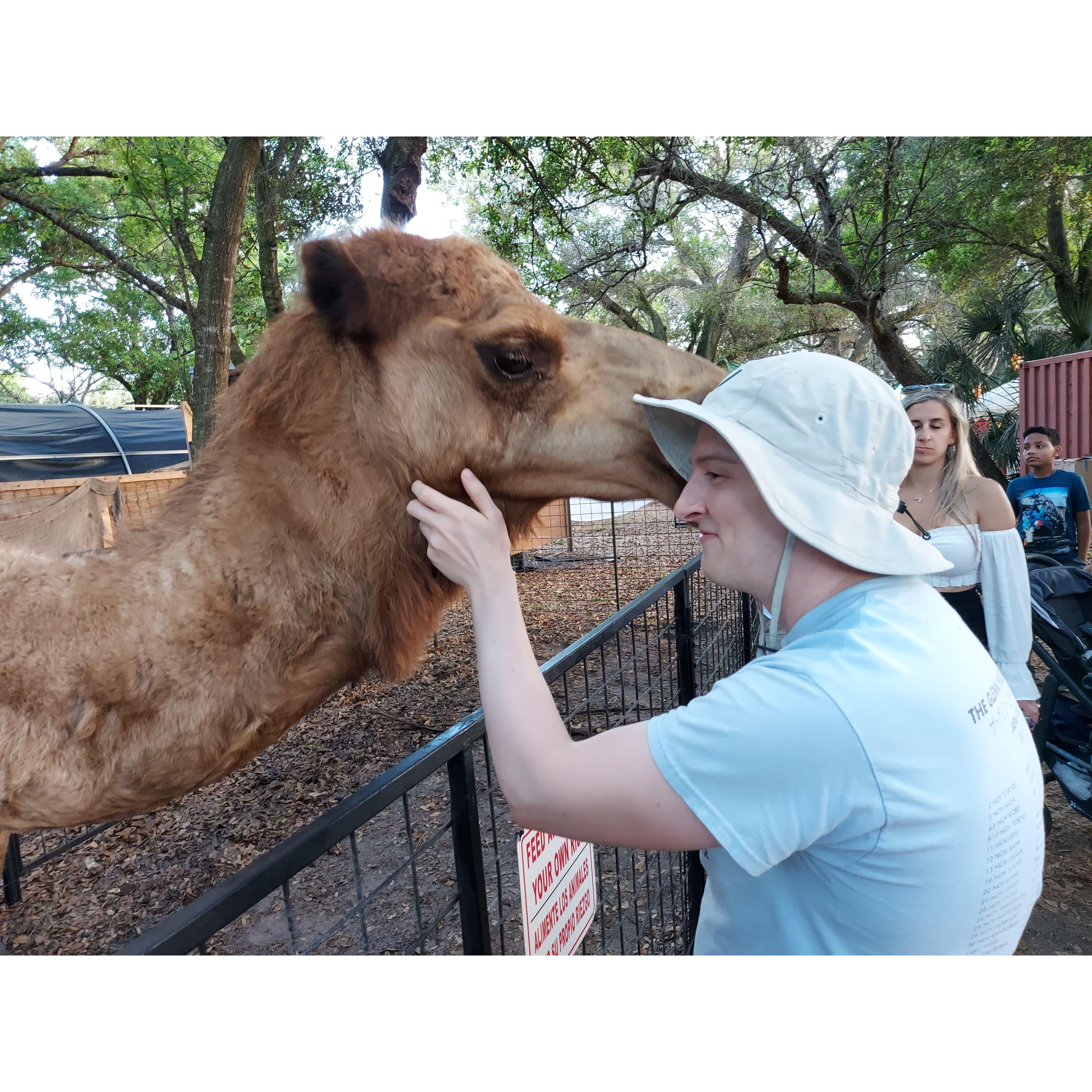 Hayden - resident pet thief/camel cuddler.