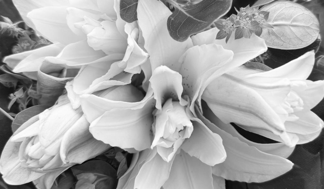 The Wedding Website of Carly Gantner and Christopher Fox