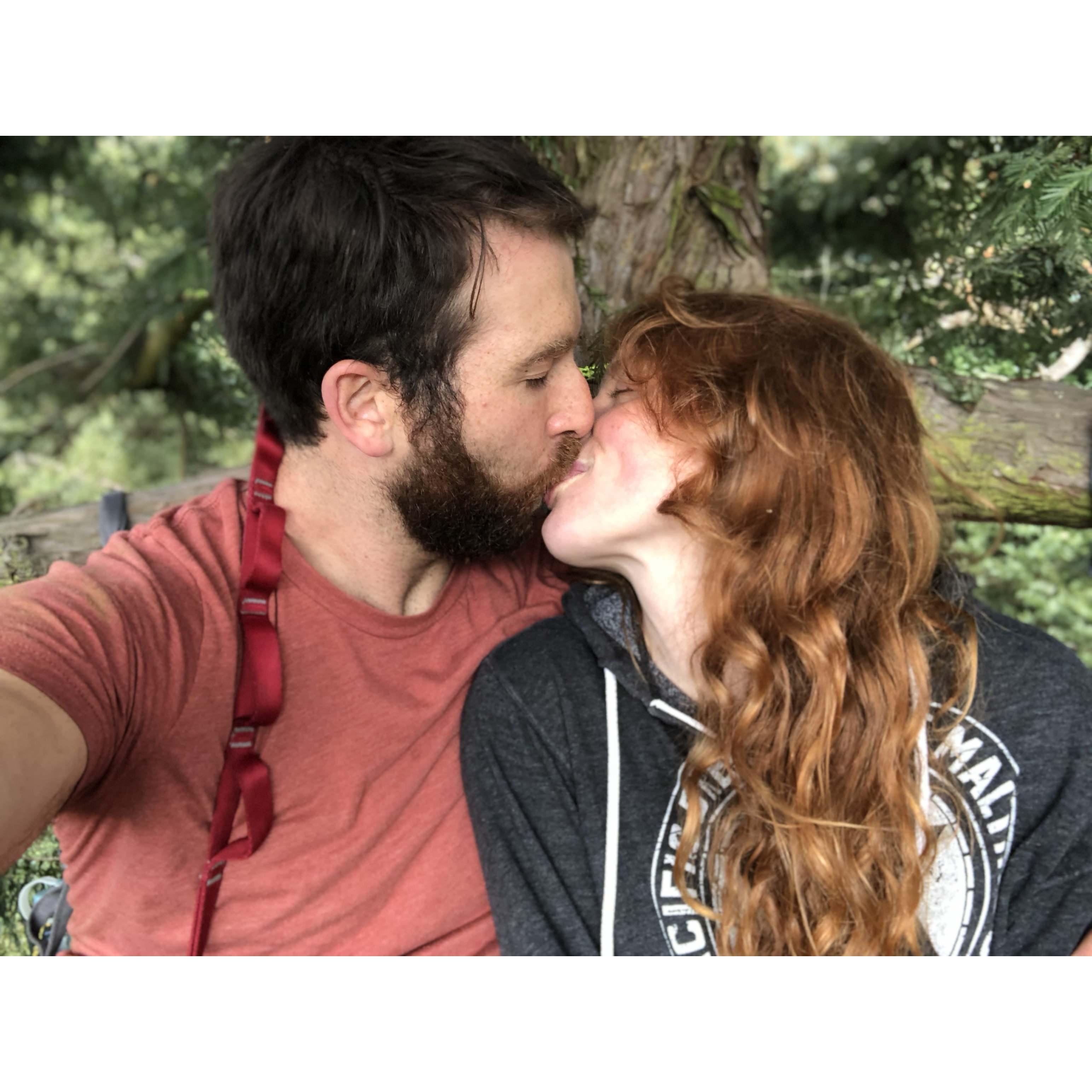 The day we said "I love you" in the top of a redwood tree