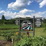 Edgewater Farmstand
